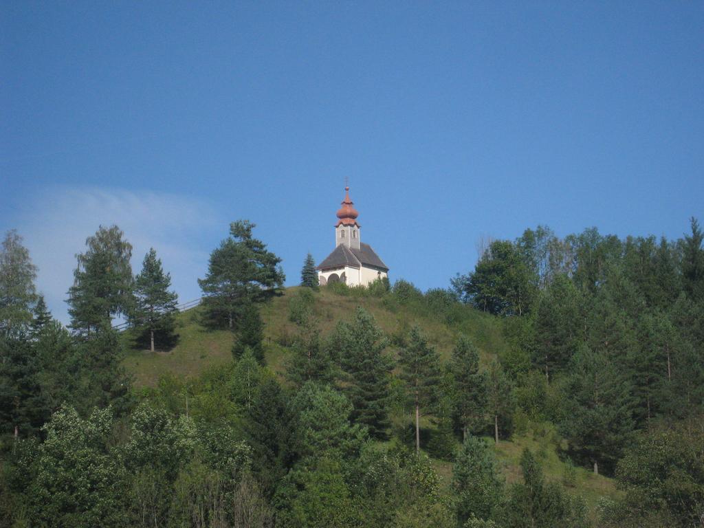 Gasthof Zum Niederhaus - Familie Perthold Sankt Aegyd am Neuwalde ภายนอก รูปภาพ