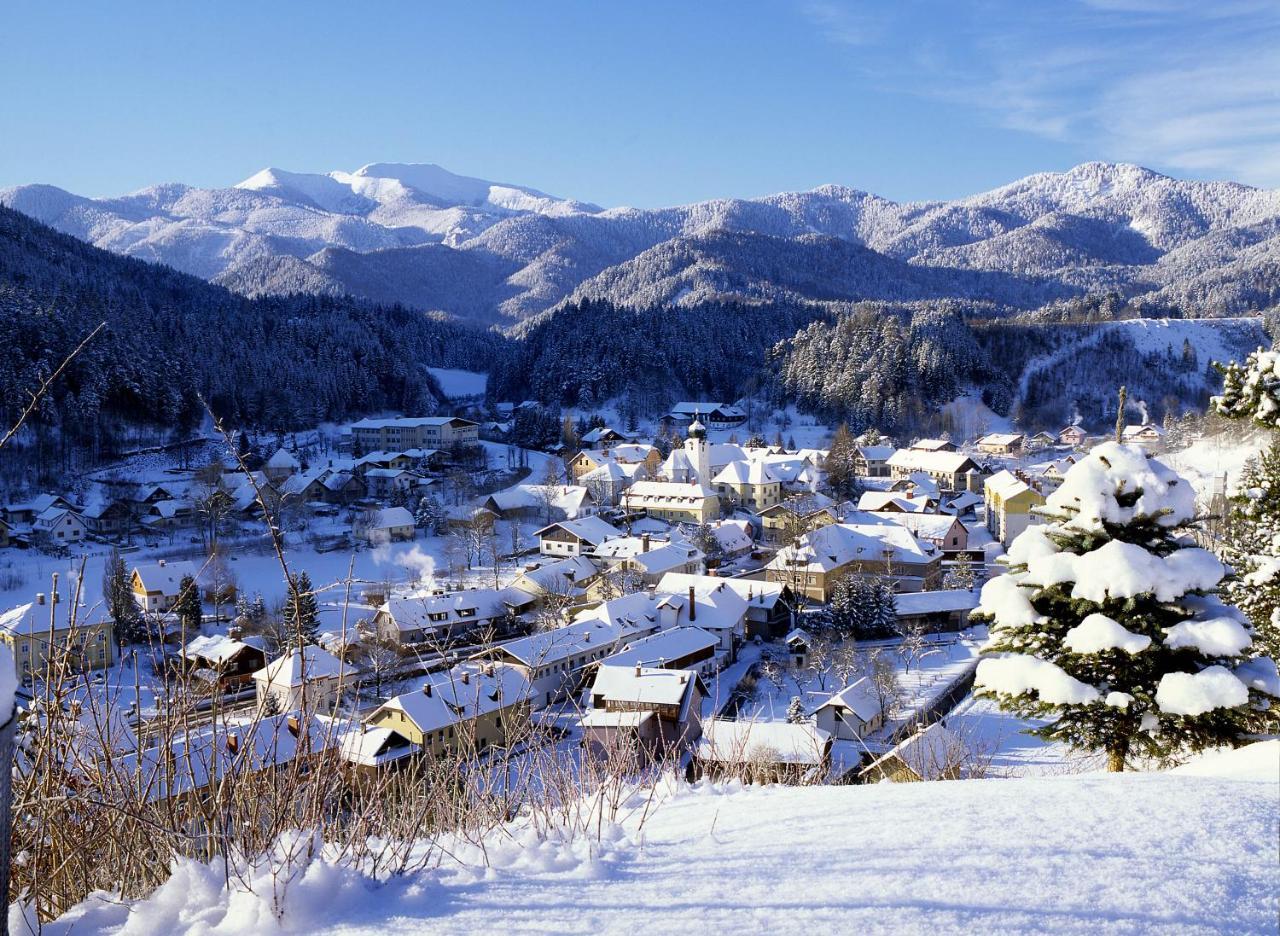 Gasthof Zum Niederhaus - Familie Perthold Sankt Aegyd am Neuwalde ภายนอก รูปภาพ