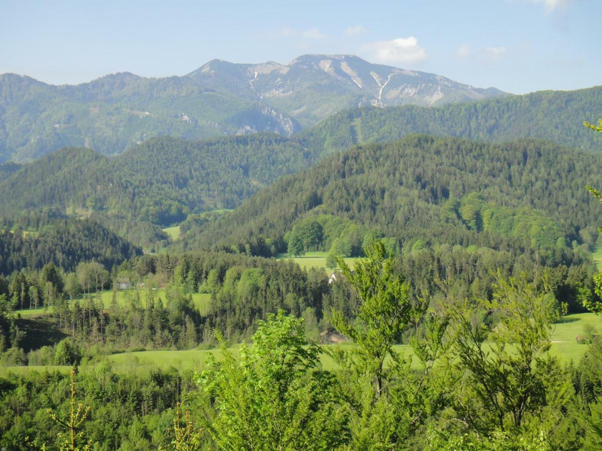Gasthof Zum Niederhaus - Familie Perthold Sankt Aegyd am Neuwalde ภายนอก รูปภาพ