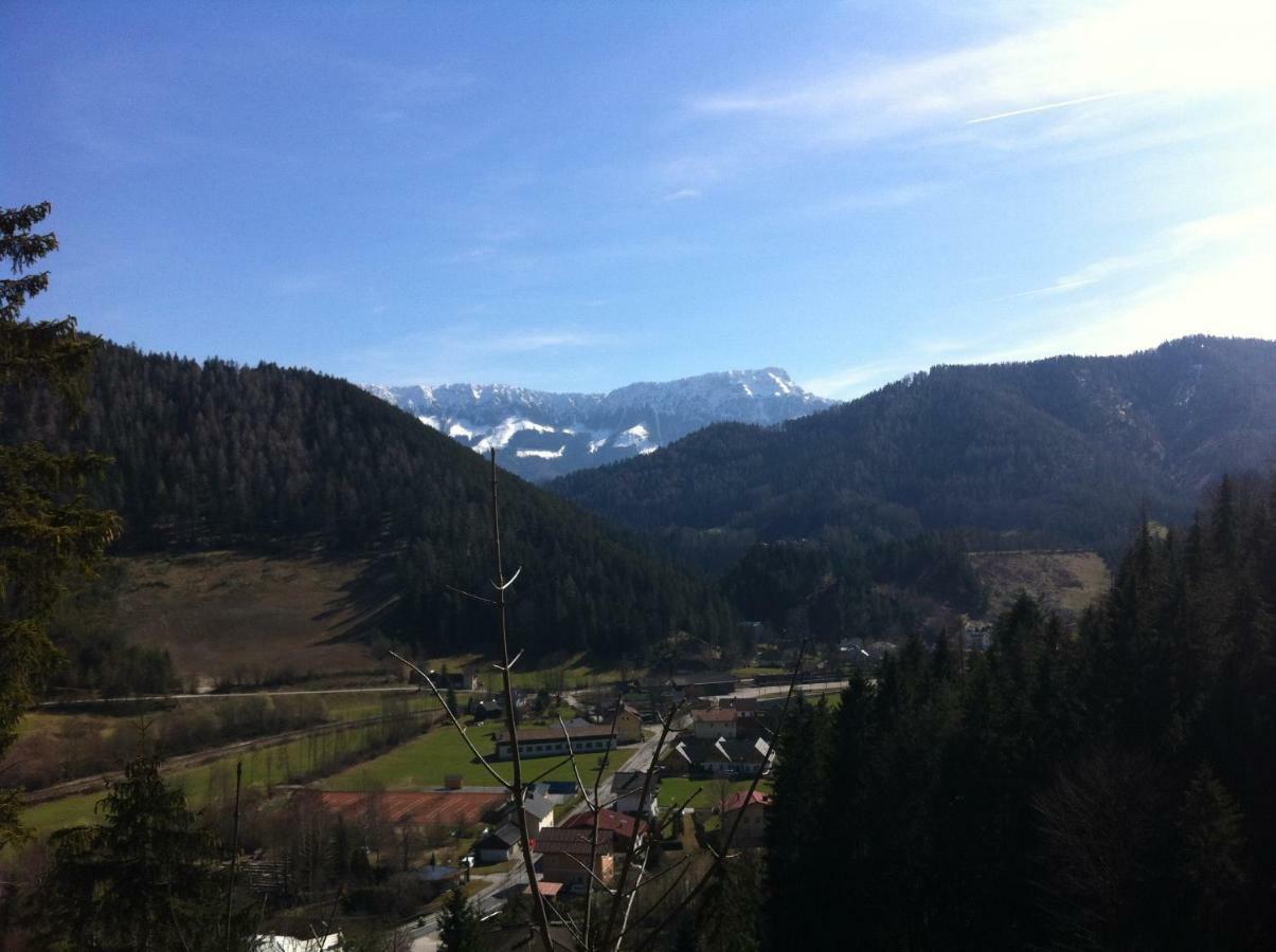 Gasthof Zum Niederhaus - Familie Perthold Sankt Aegyd am Neuwalde ภายนอก รูปภาพ